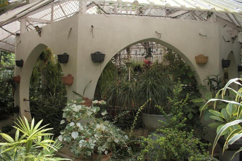 נגומבו Ceylon Kingsmen Garden Hotel - Katunayake מראה חיצוני תמונה