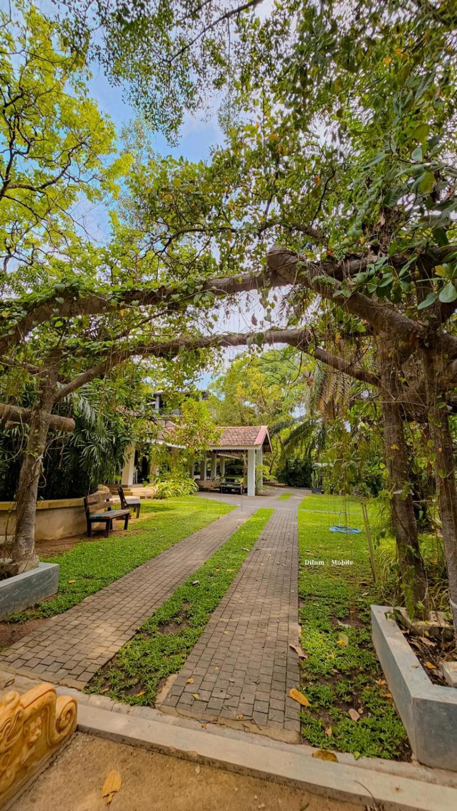 נגומבו Ceylon Kingsmen Garden Hotel - Katunayake מראה חיצוני תמונה